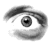 eyes3.gif (8965 bytes)